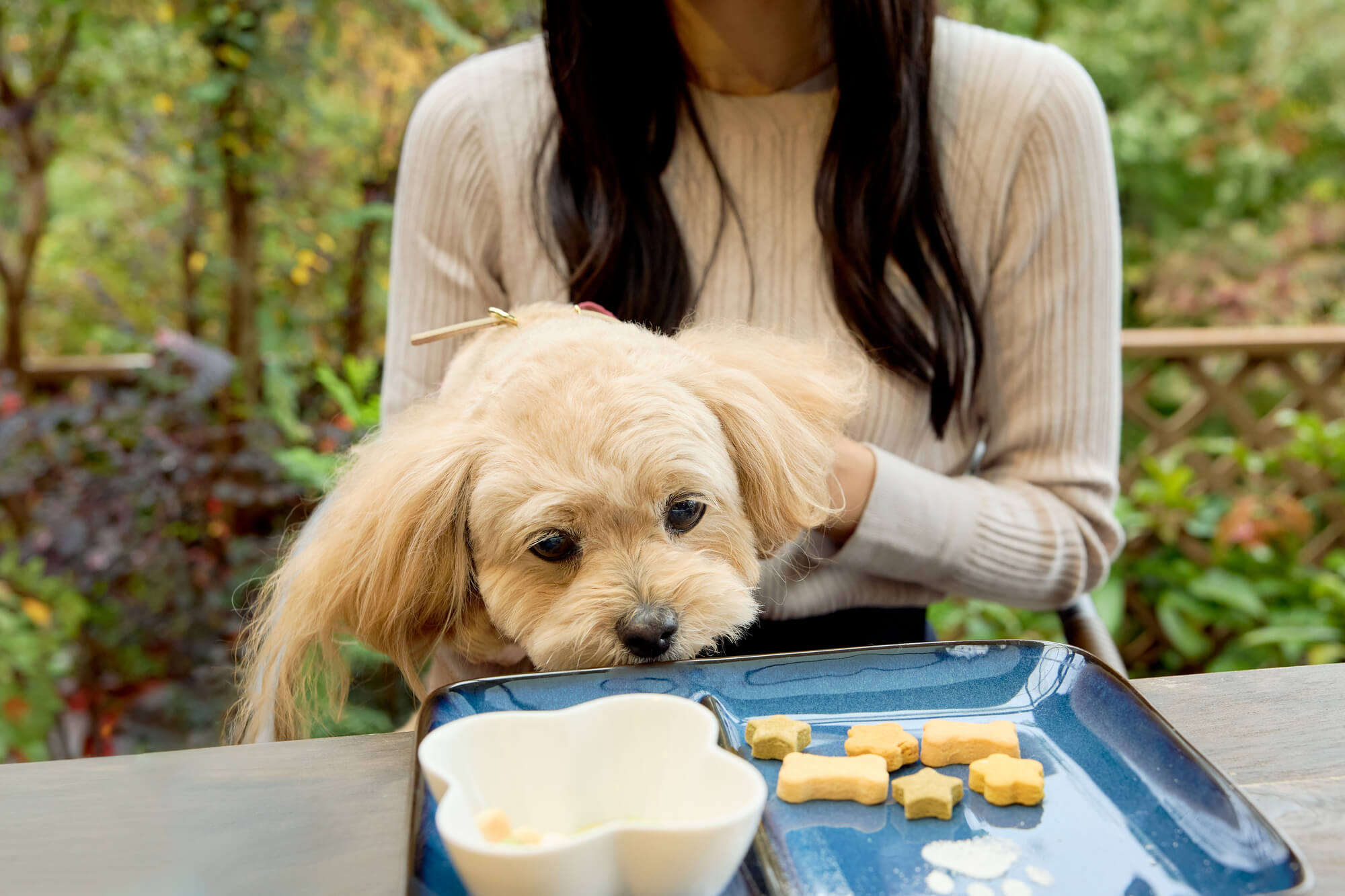 渋谷区のドッグカフェに愛犬とお出かけして素敵な思い出を作ろう！